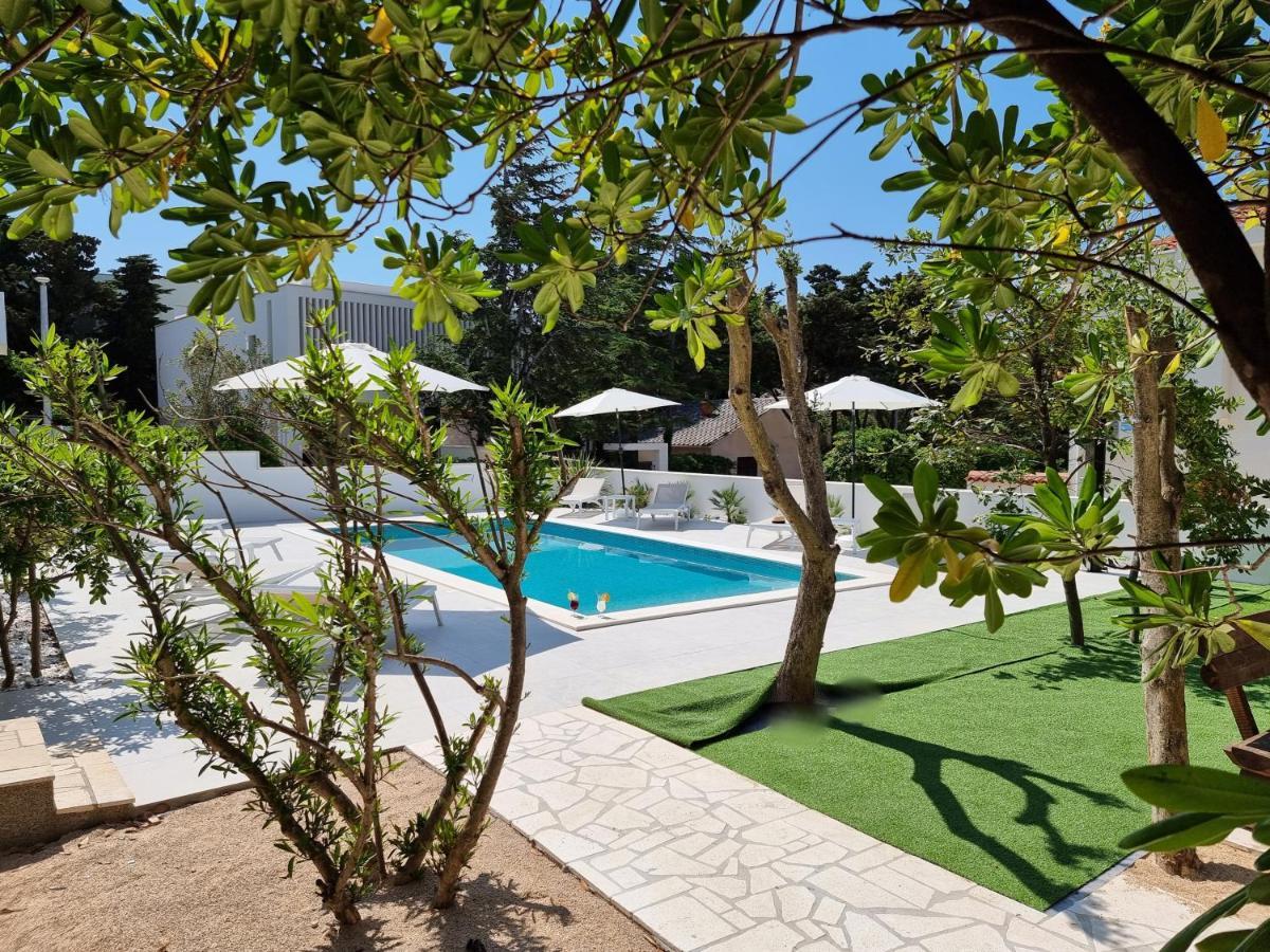 Villa Flamingo Deluxe Новаля Екстериор снимка